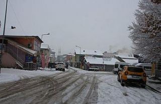 Varto’da kar yağışı