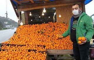 Vitamin deposu Derepazarı mandalinası tezgahları...