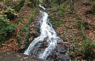 Yağışlar ile birlikte Kazdağları’nda kuruyan...