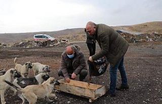 Yahşihan’da sokak hayvanları unutulmadı
