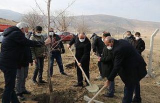 Yahyalı Belediyesi ağaçlandırma çalışmalarına...