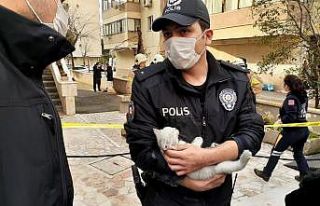 Yangında mahsur kalan yavru kediyi polis memuru kurtardı