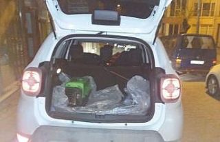 Yaralı köpekler tedavi için İstanbul’a gönderildi