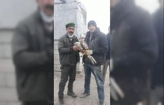 Yaralı şahine yardım eli