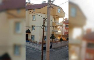 Yaramaz kedi başına gelenlerle gülümsetti