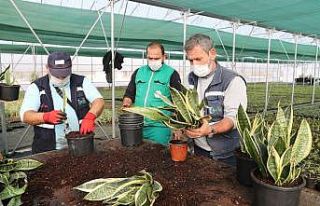 Yaşam Bahçesi’ndeki bitkilerin üretimi başladı