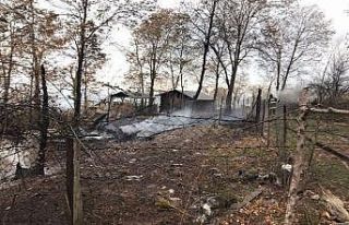 Yayla evinde yangın çıktı