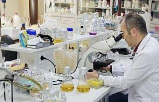 Yeni bir tür toprak bakterisi keşfedildi