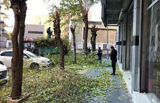 Yenişehir Belediyesi kısıtlamada da hizmetlerini...