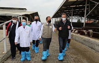 Yenişehirli firmaya hastalıklardan ârî işletme...