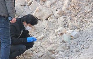 Yıkılmış metruk evin hafriyat temizliği sırasında...