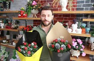 Yılbaşı çiçeği olarak ta bilinen ’Kokina’...