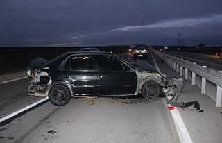 Yola çıkan köpek kazaya sebep oldu