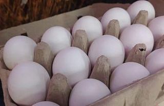 Yumurta kırmızı etle yarışıyor