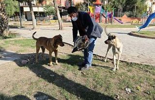Yüreğir’de sokak hayvanları unutulmadı