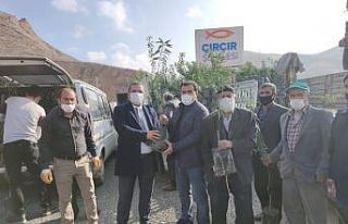 Yüzde 50 hibe destekli 27 bin fidan çiftçilere...