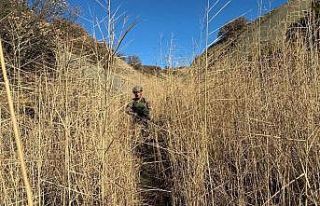 Zara kırsalında komando operasyonu