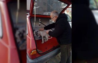 Zehirlenen köpeğin imdadına çocuklar yetişti
