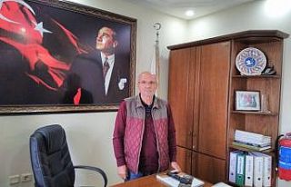 Zeytin üreticine 7 milyon 724 bin ödeme