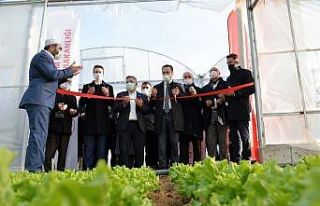 14 dekar alana 980 bin lira hibeyle yapılan yüksek...