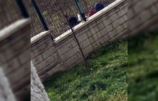 3 çocuğun yürek sızlatan görüntüleri