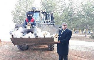 50 adet kuş evi ağaçlara bırakıldı