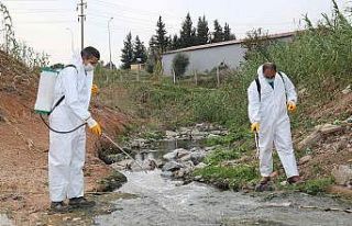 Adana’da sivrisinek ve haşereyle mücadele