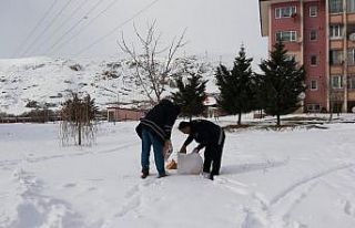 Adilcevaz Belediyesi doğaya yiyecek bıraktı