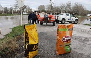 AFAD ekipleri sokak hayvanlarını unutmadı