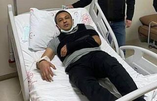 Ağaçtan düşen belediye başkanı hastanelik oldu