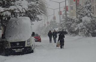 Ahlat’ta kar ve tipi esareti