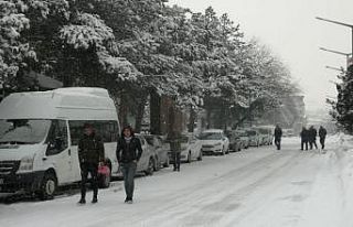 Ahlat’ta kar yağışı