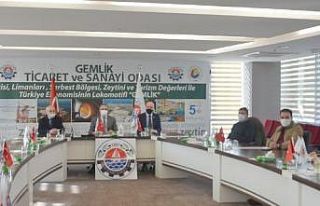 AK Parti Bursa Milletvekili Zafer Işık: "Gemlik’in...