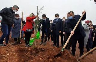 AK Parti’den İsmail Kökçe adına hatıra ormanı