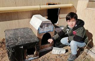 Aksaray’da çocuklar sokak hayvanlarını unutmadı