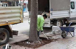 Aksaray’da yeşil alanların bakımı kış aylarında...