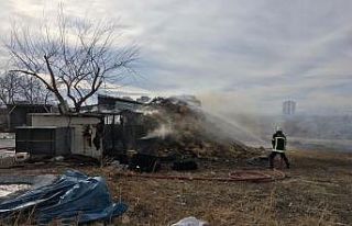 Alev alan saman balyaları ekipleri harekete geçirdi