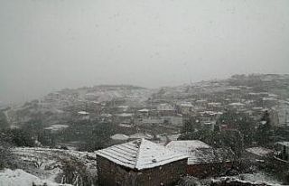 Aliağa beyaz örtüyle kaplandı