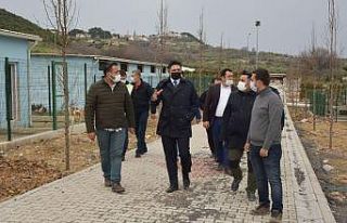 Aliağa’da sevimli dostlar için dikkat çeken tesis