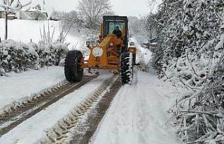 Altınova’da karla mücadele devam ediyor