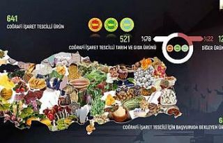 Anadolu arı ürünleri coğrafi işaretler ile markalaşacak