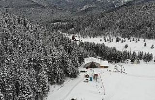 Anadolu’nun yüce dağı Ilgaz’da kar manzaraları