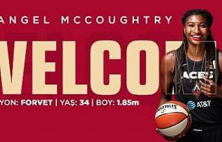 Angel McCoughtry, Galatasaray’da
