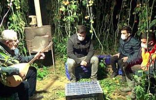 Antalya’da seralarda sazlı sözlü ’Don’ nöbeti...