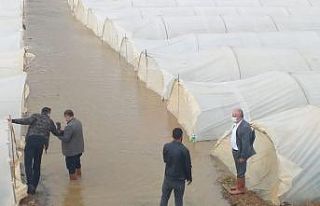 Antalya’da taşan dere ekili alanları su altında...