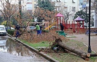 Antalya’da yarın için kuvvetli fırtına uyarısı