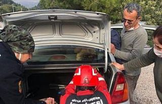 Arabanın hoparlör kabinine kafası sıkışan köpeği...