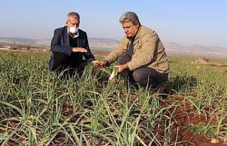 Arabanlı çiftçilerin kuraklık endişesi