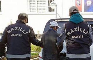 Arabasını park eden gencin cep telefonunu gasp etti