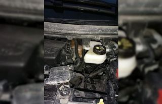 Aracın motoruna sıkışan yavru kediyi esnaf kurtardı